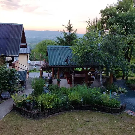 Ramonda * Banja Koviljača