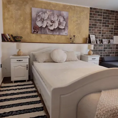 Ramonda Apartamento Banja Koviljača