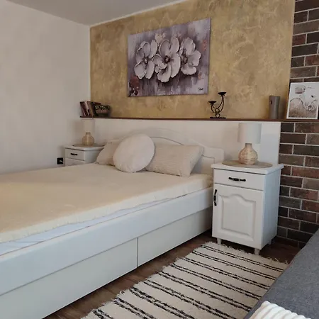 Apartment Ramonda Banja Koviljaca