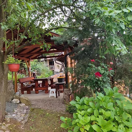 Ramonda Banja Koviljača